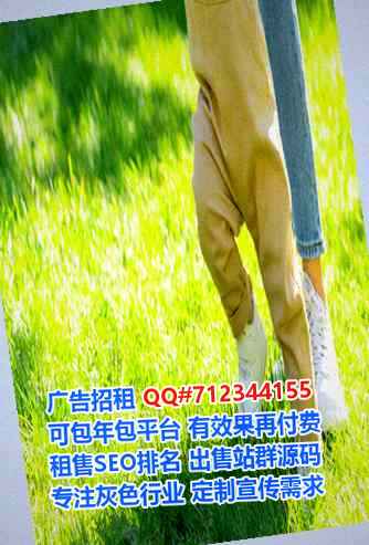 五通桥借腹生子知识产权公司